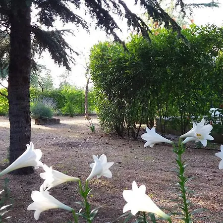 La Pinetina *