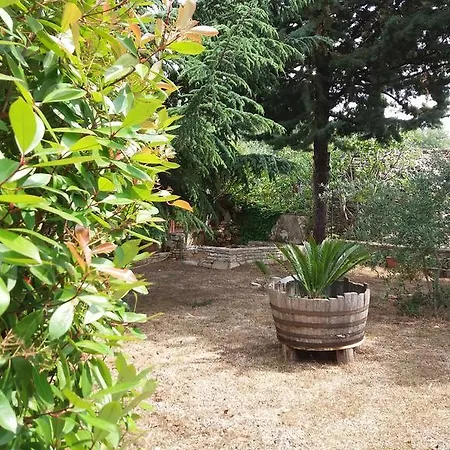 La Pinetina Casa vacanze Corato