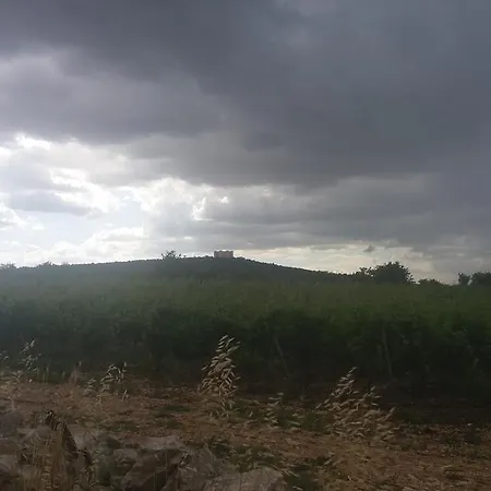 La Pinetina Corato