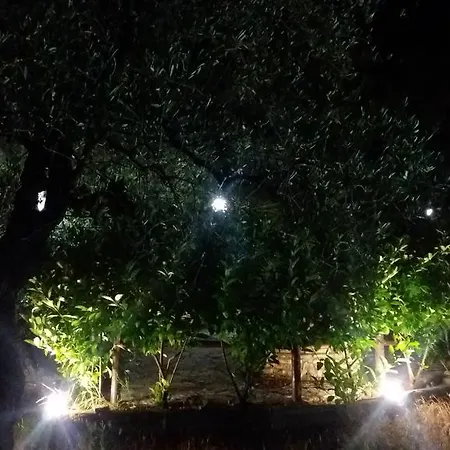 Nyaraló La Pinetina